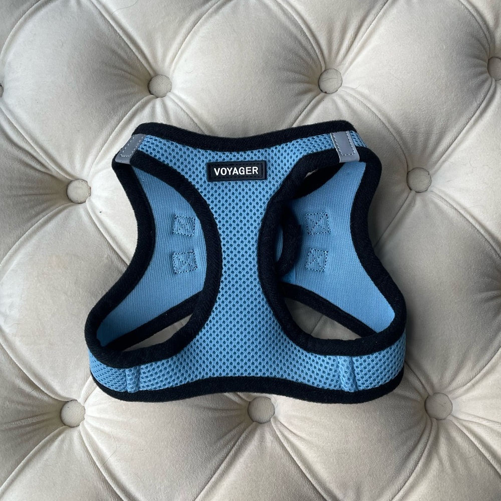 Voyager Baby Blue Dog Harness